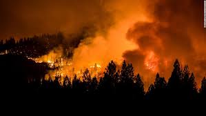 Los incendios forestales son producto de un fuego imprevisto, que se extiende sin control y arde en áreas naturales, afectando la vegetación, flora y fauna. Hay 91 Incendios Forestales En Ee Uu Arrasaron Con 730 000 Hectareas