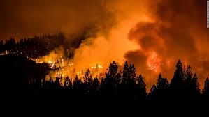 Mit dem zauberspruch incendio (lat. Hay 91 Incendios Forestales En Ee Uu Arrasaron Con 730 000 Hectareas