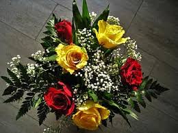 We did not find results for: Page 3 Royalty Free Red Roses Bouquet Photos Pikist