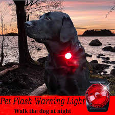China Clip On Pet Dog Collar Led Light Dog Lights For Collars China Dog Collar And Dog Light Price