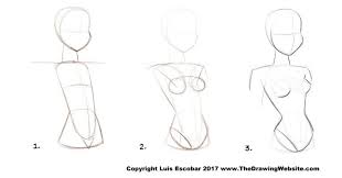 Bruce Timm Female Torso The Drawing Website Cartoon Body Bruce Timm Drawing For Beginners All the best female body drawing reference 36+ collected on this page. bruce timm female torso the drawing