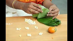 சோழியை வீட்டில் எப்படி வைத்தால் நல்லது என்பதை பற்றி பார்க்கலாம் !!! -  funglitz.com