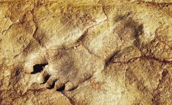 Ancient footprints found in Saudi Arabia shed light on human migration |  Caliber.Az
