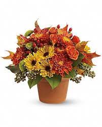 We would like to show you a description here but the site won't allow us. Sugar Maples In El Paso Tx Executive Flowers