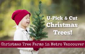 Check spelling or type a new query. Christmas Tree Farms In Metro Vancouver Family Fun Vancouver