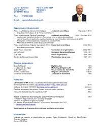 Cv Laurent Schenker Curriculum Vitae Cv Words Resume Words