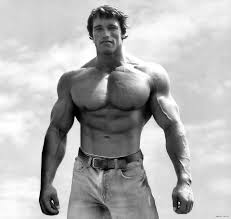 We did not find results for: Chef Arnold Shirtless Student In Scotland