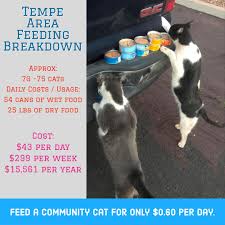 Feral paws rescue group is limiting visits to our rescue to view our adoptable cats in compliance with california's. Feral Cat Colony Caretakers The Unsung Heroes Of Rescue Saving One Life