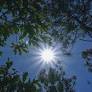 Météo-France Extends Yellow Heatwave Alert to 18 Departments Including Paris Amid Early Exceptional Heat