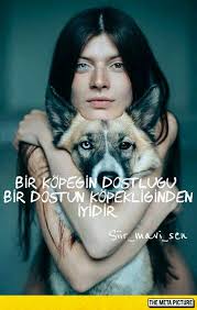 Bir Kopegin Dostlugu Bir Dostun Kopekliginden Iyidir Siir Sozler Sozheryerde Sozsokakta Siirsokakta Siirmavisen Hayvanlar Portre Fotograf
