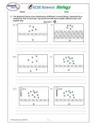 This is the movement of specific molecules down a concentration gradient, passing through the membrane via a specific carrier protein. Diffusion Osmosis And Active Transport Worksheet Pages 1 4 Flip Pdf Download Fliphtml5