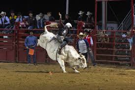 Sheridan College Men's Rodeo Team Places 5th; Women Tied For 4th At 2024  Pat Hamilton Memorial Rodeo