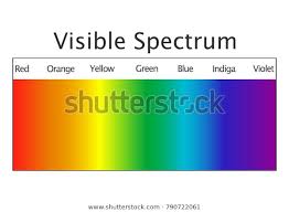 Chart Visible Spectrum Color Stock Vector Royalty Free