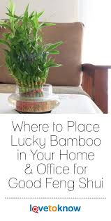 This post on feng shui bedroom tips is to get better sleep. 20 Best Feng Shui Bedroom Layout Ideas Feng Shui Bedroom Feng Shui Feng Shui Tips