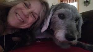 Professional Pet Sitter