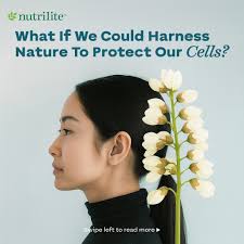 Your body holds the secret to healthier aging, and nature's been part of  that story for centuries. 🌿✨ Some plant-based ingredients don't just  support your overall health; they also help nourish your