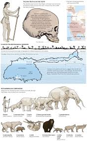 Paleoamerican Remains Found In The Yucatan The Washington Post Early Humans History Prehistory Prehistoric Animals