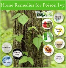 Home Remedies For Poison Ivy Poison Ivy Remedies Home Remedies Poison Ivy Home Remedies
