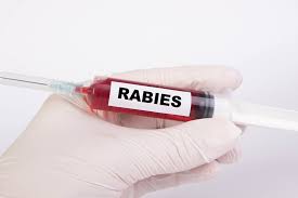 Rabies virus vaccine is an exception. Rabies Challenge Results How Long The Vaccine Really Lasts Essentially Dogs