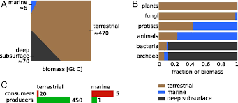 The Biomass Distribution On Earth Pnas