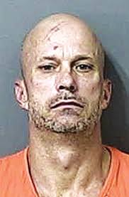 Over 1 pound of crystal meth seized in drug sting