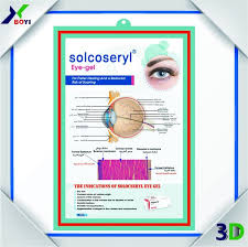 human eye 3d anatomy chart poster pvc embossed chart