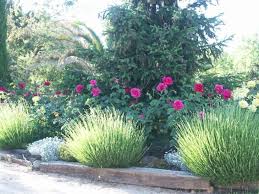 Spanien Katalonien Immobilie In Falset Rosen Finca Zu Verkaufen Kaufpreis Nur 250 000 Euro Spanien Falset Immobilie Rosen Finca Plants