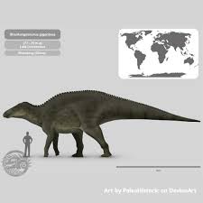 Image result for Dinophora