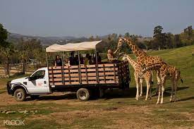 It's an unforgettable experience being so close to the animals you can touch them and feed them. San Diego Zoo Safari Park Admission Ticket Klook Uk