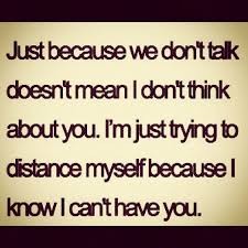 6) cada diํa te quiero mas. Secret Quotes And Humor