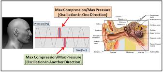 Audio Frequency And Loudness Part I An Introduction To