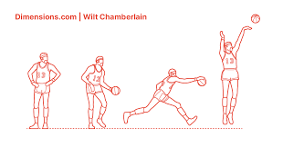 Wilton norman „wilt chamberlain (* 21. Wilt Chamberlain Dimensions Drawings Dimensions Com
