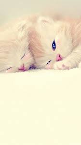 30,000+ vectors, stock photos & psd files. Sweet Cute Love Wallpapers Group 79