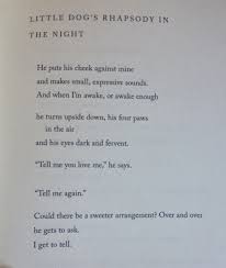 Misswhistle Little Dog S Rhapsody Words Quotes Mary Oliver Poems Mary Oliver Quotes