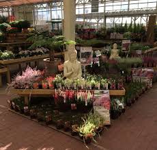 Jardiland De Villebarou Jardinerie Pepiniere Plante