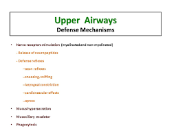 Toxic Effect In The Lung Respiratory System Ppt Video Online Download