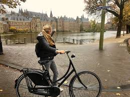 The Hague Bike Tour Discover The City In 2 5 Hours With A Local Guide