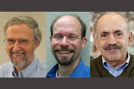 Three MIT biologists receive NIH Outstanding Investigator Awards
