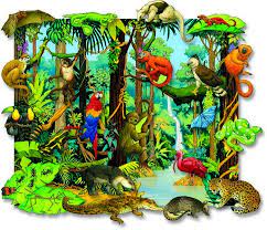 Over 50% of the animals and plants in the world inhabit the tropical rainforests. 34 Rainforest Animals Images Ideas Rainforest Animals Animals Rainforest Activities