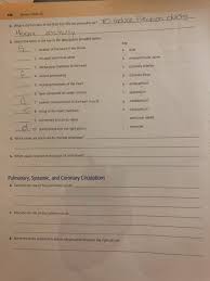 Anatomy Of Heart Review Sheet Anatomy Drawing Diagram