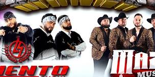 Mazizo Musical