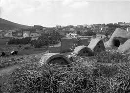 قرية الشجرة قضاء طبريا ١٩٣٠ palestine old pictures movie art