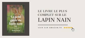 Quelle Nourriture Pour Un Lapin Nain