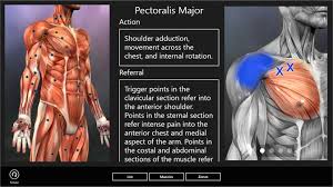 Where Are Reflexology Ear Points And How To Be Used Trigger