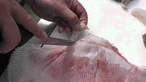 Passionate About Fish - How To Skin & Fillet Ray / Skate Wings - Youtube