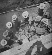 We haven't found any reviews in the usual places. Lectura Fotografica Nacho Lopez Oscar En Fotos