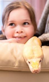 I let my 7-year-old play with our pet pythons 🐍
