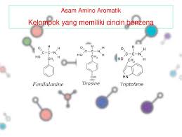 Check spelling or type a new query. Asam Amino Dan Peptida Mikchaell Panjaitan S Pi Ppt Download