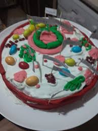 Fdz Design Adli Kullanicinin Fen Dersi Hayvan Hucresi Maketi Pasta Panosundaki Pin Pasta