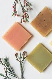11 Zero Waste Shampoo And Conditioners For A Do Good Do
